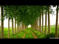 #Reciter Ahmed Al-trabulsi | #Surah AlKauthar