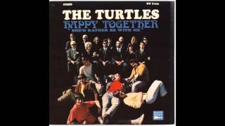 Watch Turtles Like The Seasons video