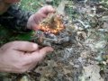 Quest For Fire Part Two (Fire with Tinder fungus and ferrocerium)