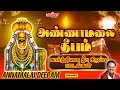 கார்த்திகை தீப சிவன் சிறப்பு பாடல்கள் | அண்ணாமலை தீபம் | Annamalai Deepam |  SPB | Karthigai Deepam
