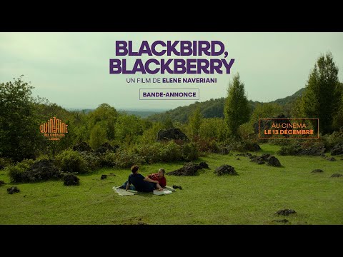 Blackbird, Blackberry