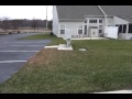 The 1st first snowfall video.