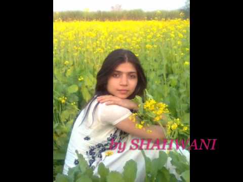 do ghari ki mulaqat.mp4 full song.HD