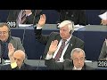 European Parliament