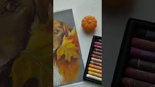 Осенний Подарок 🍁 #Shortvideo #Art #Painting #Artist #Oilpastel #Dog #Animals #Arts #Собака #Shorts
