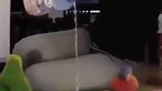 Dans Eden Kuşlarkomik Kısa Video