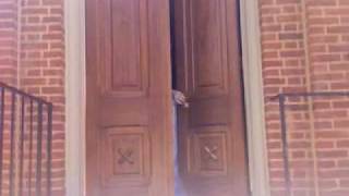 Watch Corinna Fugate Professional Cinderella video