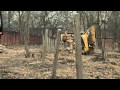 Tv Toya 4 03 2014 Przetarg na zagospodarowanie Księżego Młyna