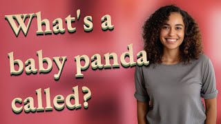 Whats A Baby Panda Called?
