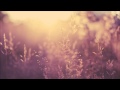 Best of Dezza | Mixed by Cardem