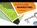 Niche Marketing Launch Call with Vitel