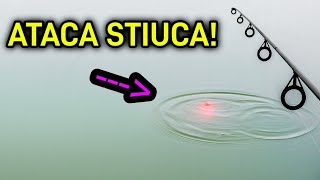 Start Pescuit La Stiuca Pe Salbatic Raul Siret