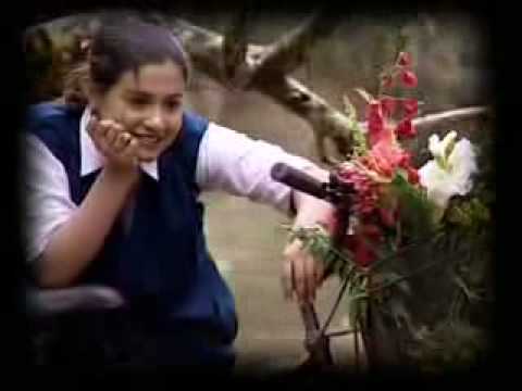 kudajadriyil kudachooduma female mp3 download kudajadriyil kudachooduma female mp3 download