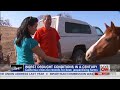 California's drought hurting its horses