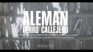 Alemán - Perro Callejero