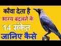 कौए के बताये हुए 14 शुभ संकेत  |कौए से जुड़े शकुन-अपशकुन |  Crow gestures as per hindu beliefs