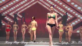 modern tracking hoa hau 4k