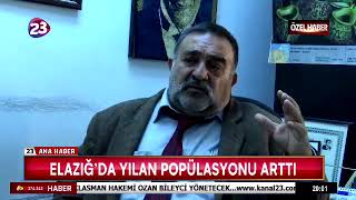 Elaziğda Pi̇ton Yilani - 10 Metre Boyunda Bi̇r Yilan Daha