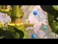 Rayman Legends