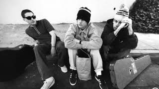 Watch Beastie Boys This Government Needs A Tune Up video