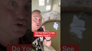 Do You Want To See Alligator Poop?