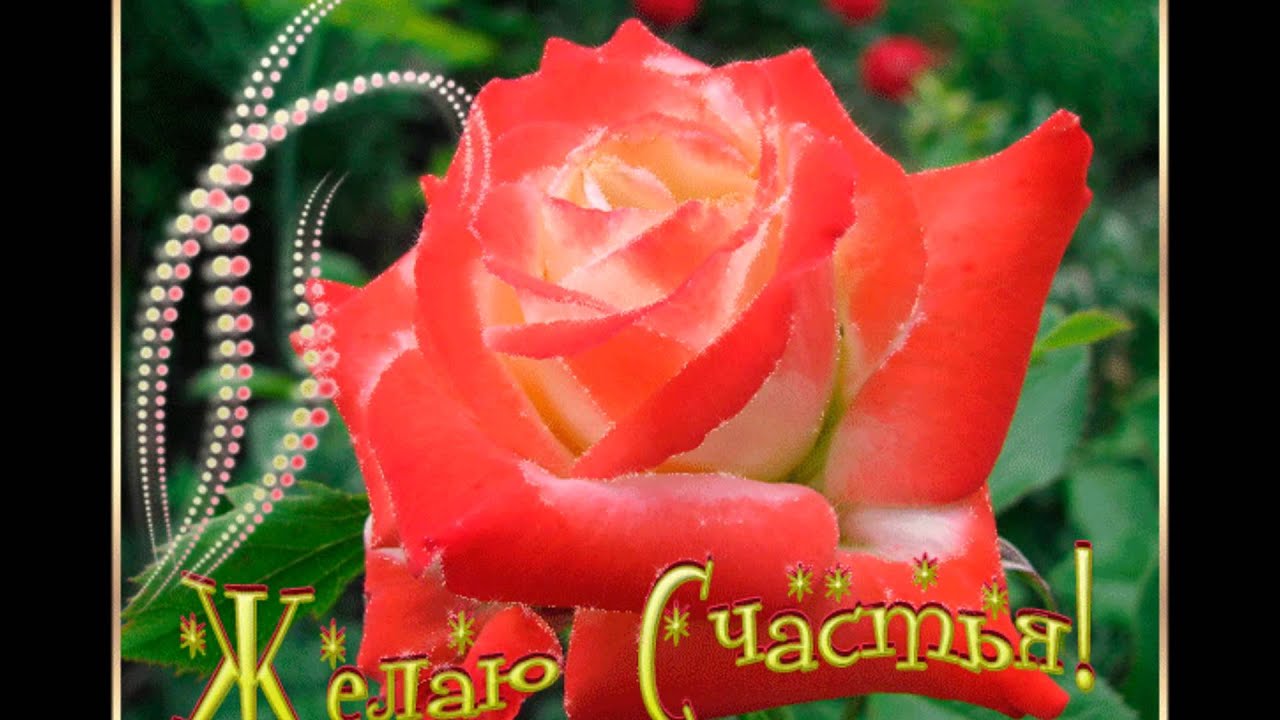 Всем 66 Всем 5