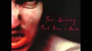 Watch Pig Symphony For The Devil video