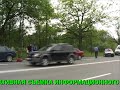 ДТП спровоцировали переходившие через дорогу утки