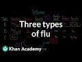Three types of flu | Infectious diseases | Health & Medicine | Khan Academy