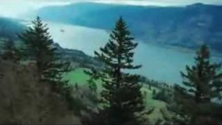 Cat Power- Werewolf