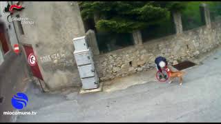 Cosenza, operazione Brother. 5 misure cautelari