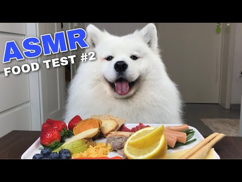 Before The Dog Video