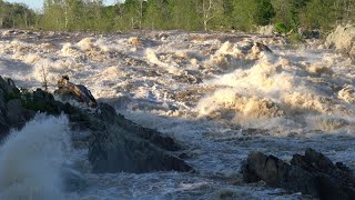 Great Falls Flood -- May 9, 2022
