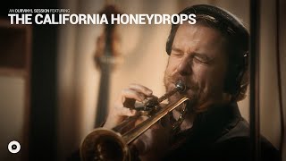 Watch California Honeydrops All Day All Night video