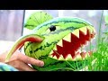 Art In Watermelon Shark | Fruit & Vegetable Carving  | Party Food Decoration