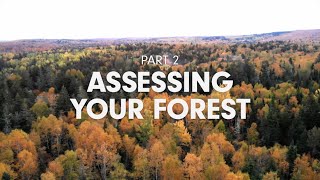 Our Changing Forest, Part 2 / Nôtre Forêt en Transition, Partie 2