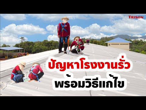 หลังคาเมทัลชีทรั่ววิธีแก้ไขปัญหา/ซ่อมหลังคาเมทัลชีทรั่ว/อะคริลิคกันซึม/อุดรอยรั่วหลังคาเมทัลชีท