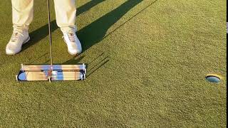 PAR Board Putting Through Gate