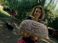 Trip At The Brain