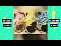 TRY NOT TO LAUGH - FUNNY ANIMALS Compilation | Cute Dogs & Cats | Funny Vines June 2018