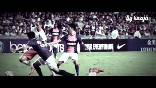 Zlatan Ibrahimovicproskillspsghd