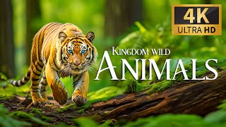 Encounters In The Jungle ~ Unforgettable Moments With Wild Animals In Their Kingdom