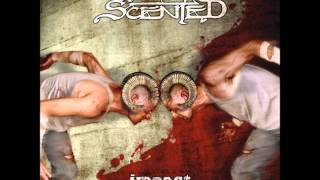 Watch Dewscented This Grace video