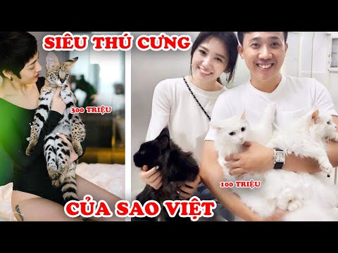 7 Sao Việt Sở Hữu Thú Cưng Quý Hiếm Và Đắt Đỏ Nhất Việt Nam