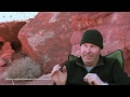 axialvideos
