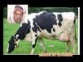 Komik arap videoları