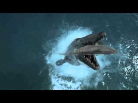 A Dip In The Ocean Video