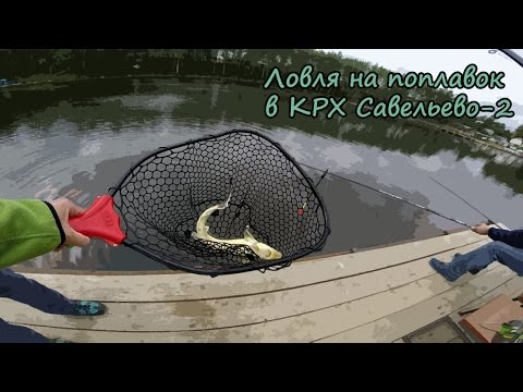 осетр отчет о рыбалке 2016 осетр отчет о рыбалке 2016