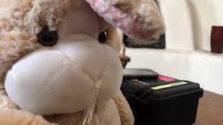 The Curse of 1000 Hare's