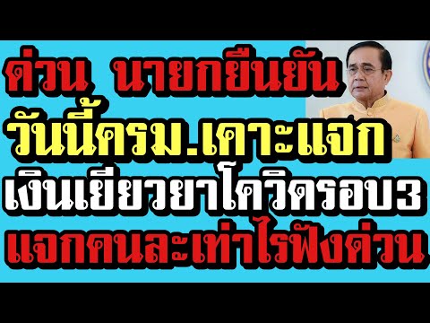 ข่าวดี วันนี้นายกสั่งเคาะเยียวยาโควิดรอบ3 แจกเงินคนละเท่าไร ฟังด่วน!